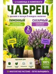Чабрец саженец ЗКС 2 шт Лимонный и Сахарный