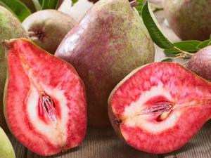 Груша красномякотная "БЛЮТБЕРН"